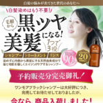 白髪染めシャンプー 白髪の悩みが出てきた世代のあなたへ アイキャッチ